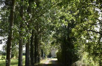 Gîte des Comtes du Perche 2 logements indépendants de 40 et 25 m2 - Foto 7