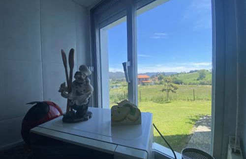 Finca Robejones VV-511-AS - Foto 24