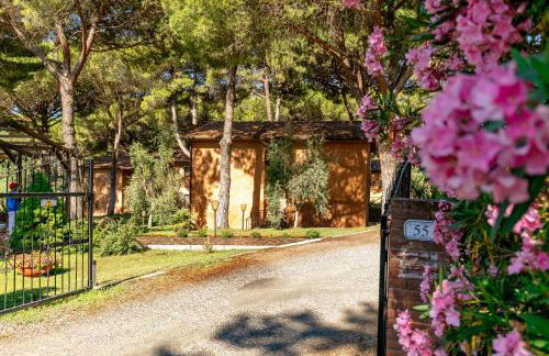 Residence Ristorante Il Paradiso - Foto 6