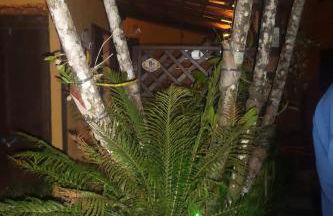 Chalé Pousada da Aldeia - Foto 57