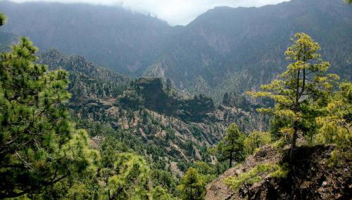 Estudio Bibi - Photo 4