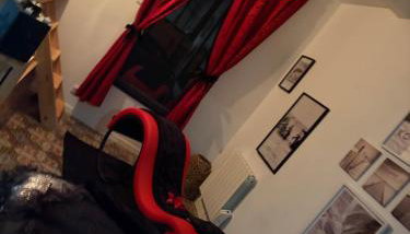 Magnolia duplex - Photo 4