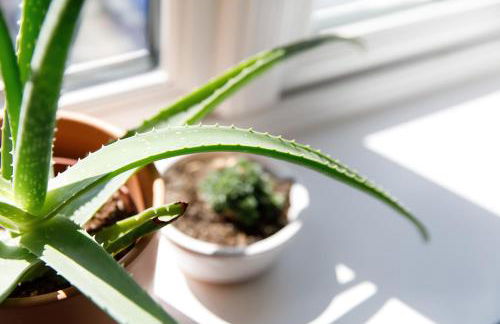 Sanderling House, with parking - walk to beach - Foto 44