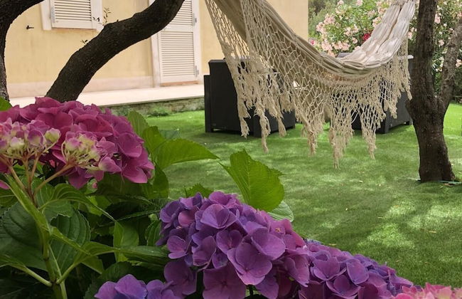 Lu Pastruccialeddu - Foto 24