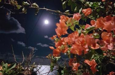 Vivienda Vacacional Monteprimero 2 - Foto 32