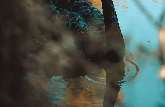 Maison Mairie - Foto 57