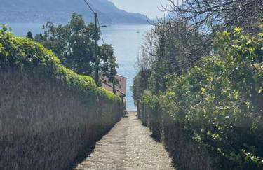 CAPI SUITE - Foto 25