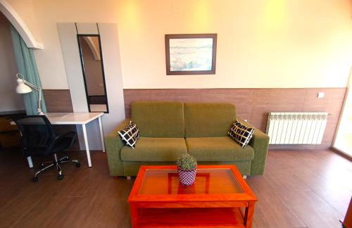 Flamencos del cerrado - Photo 77