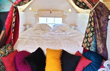 Ophrys ha Melenig - Foto 14