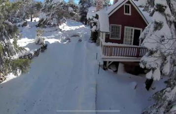 Gingerbread Gardens - Foto 7