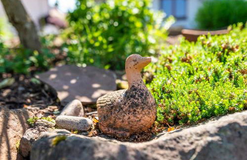 Haus Erlenmaier - Foto 21