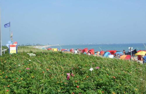 Ferienhaus Küstenschwalbe - Foto 10