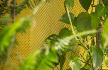 Corrigan Estudio - Foto 12