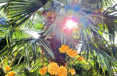 Die ART FARM I Apartment I nähe Frankfurt I Messe - Foto 31