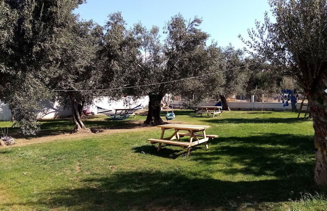 Yazduf Family Homes - Foto 20