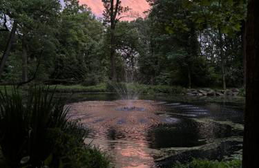 The Roundtop Chalet romantic couples getaway - Foto 54