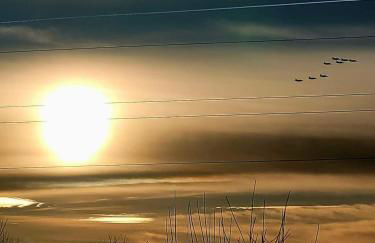 Justaura Retreat - Foto 24