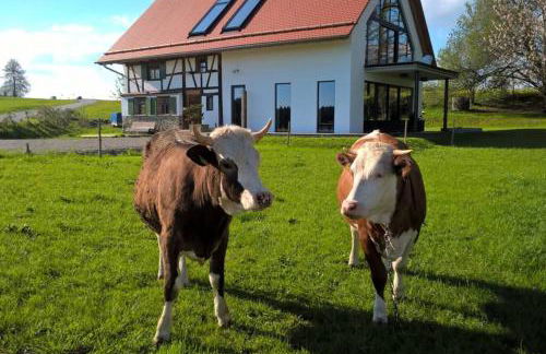 5Sterne Ferienwohnung im Fachwerk mit Bergblick in Alleinlage und großem Garten, Infrarotkabine - Foto 24