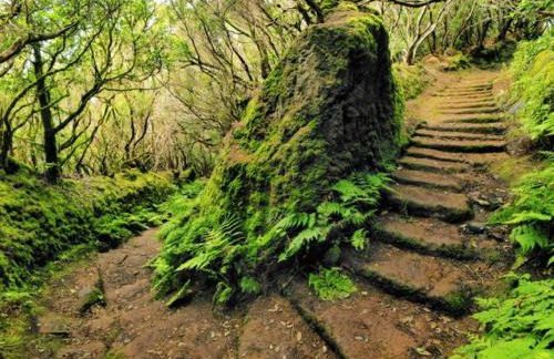 Anaga Manolo Natural House - Foto 31