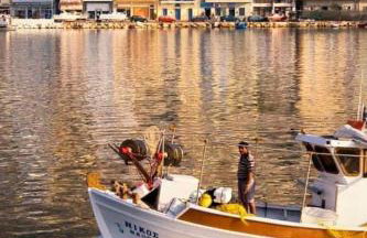 Kalotina's House - Foto 44