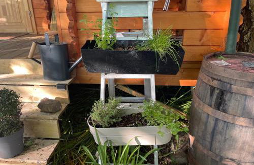 Retro Lodge nr Dartmoor with hot tub & opt sauna - Foto 53