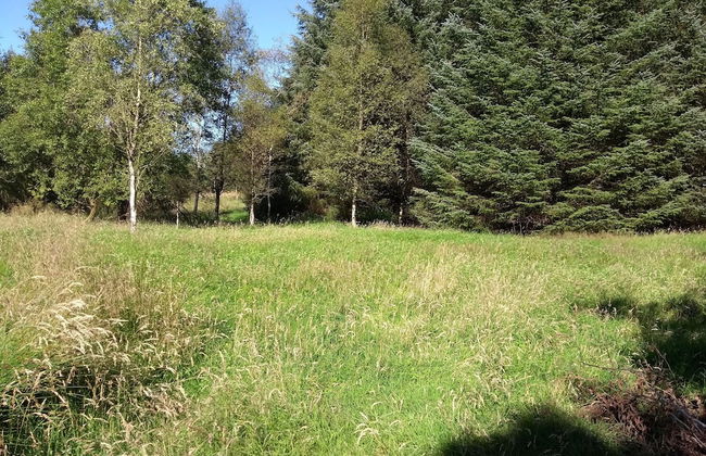 Cleeves Cabins, Ailsa Luxury Lodge With hot tub - Foto 24