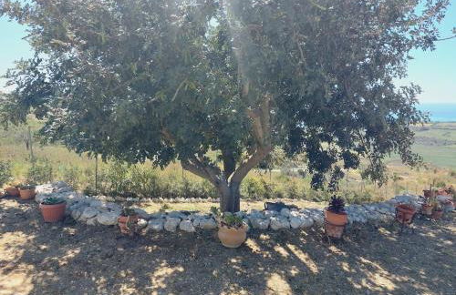 Casa Palombara - Healiday in Torre Salsa - Foto 67