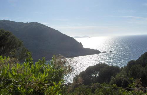 Cota Quinta - Foto 80