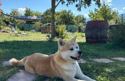 Casa Vacanze Galileo - Foto 79