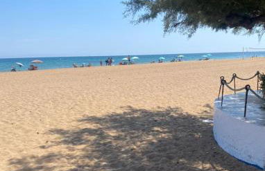 Casa Harmony - Photo 7