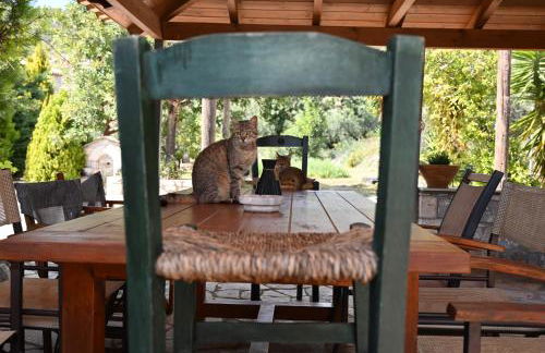 Mouses Apartments-Kardamyli - Foto 64