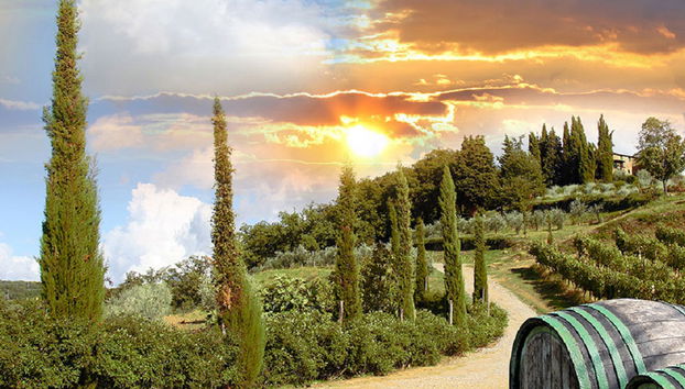 Chianti und Schloss-Tour ab San Gimignano - Kleine Gruppe - Foto 5