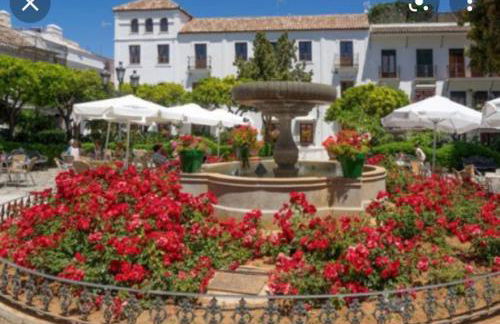 Casa Delfina - Photo 44