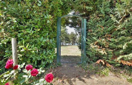 Apartment EL SOL - MONTEROL - Foto 20