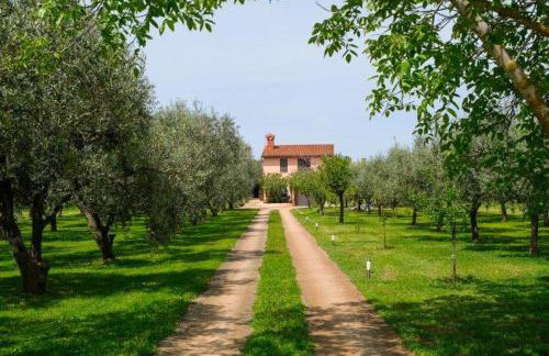 Uliveto Apartment - Foto 33