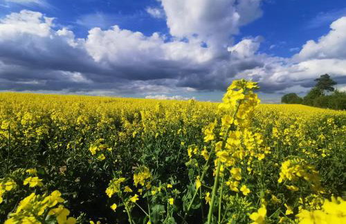 Przystan Ramotowo - Foto 15