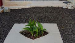 Maison, 5km de la mer - Foto 5