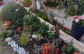 Studio apartman T and T - Photo 22