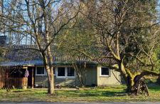 The Cottages - Pet Friendly - Photo 1