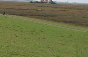 Haus Sonnenblume - Foto 42