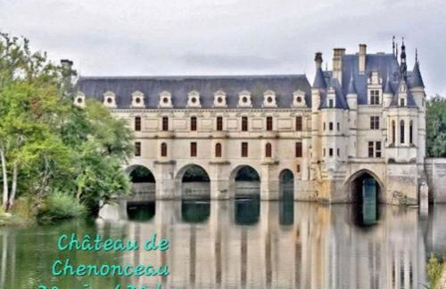 Perroquet & Koala 2 logements 10min du zoo de Beauval et proche château - Foto 56