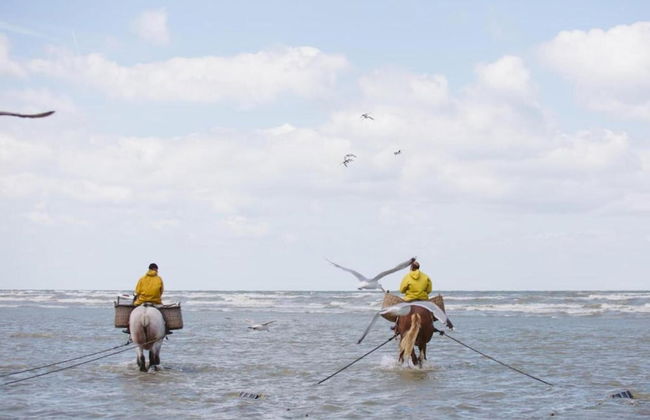 Coastal Retreat With Terrace - Foto 31