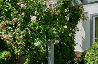 Ferienhaus Landhaus Am Hirtzborn - Foto 8