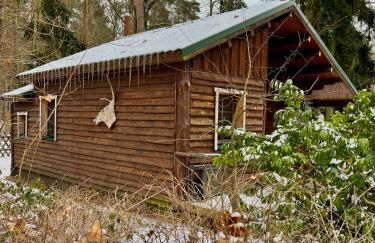 Holzhaus Waldwichtel am Wald und See - Photo 24