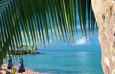 Napili Village Hotel - Photo 82