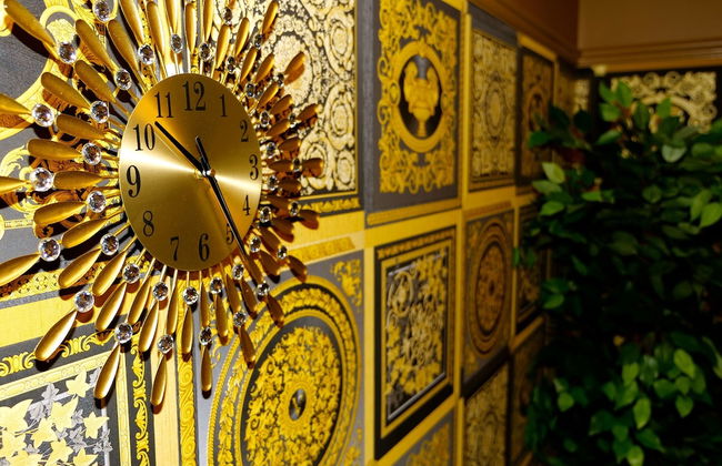 Sexy Luxurious Versace Apartment Near Sheffield - Photo 17