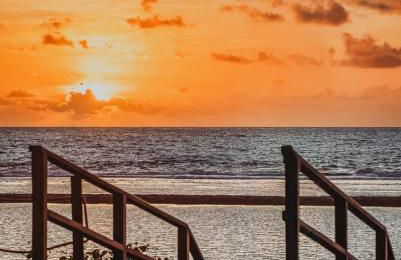 Porto alto - Photo 5