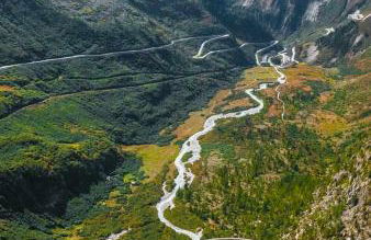 Cats & Breakfast - Foto 32