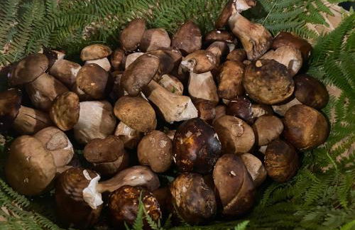 Lo Scoiattolo Country House - Foto 100