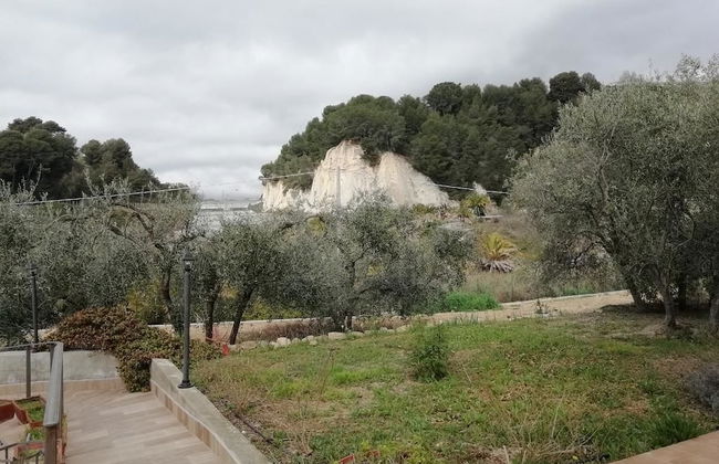 Agriturismo il Grande Ulivo - Foto 17